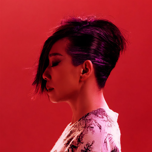 林忆莲 照片